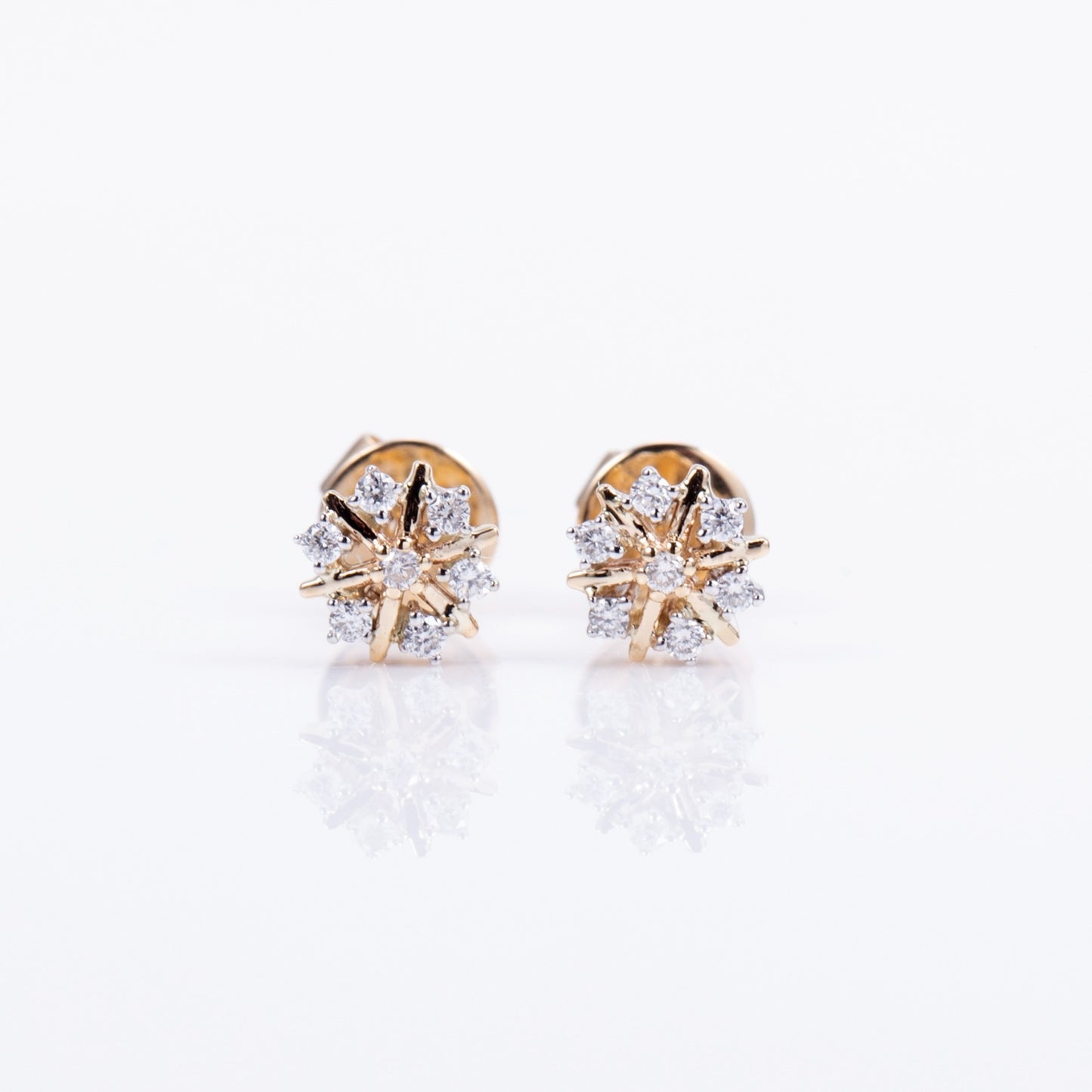 Aurora Brilliance Earring