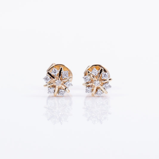 Aurora Brilliance Earring